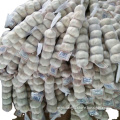 /msite/products/detail/productid/59942981/id/542998.html